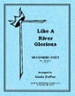 LIKE A RIVER GLORIOUS FLUTE AND CLARINET DUET cover